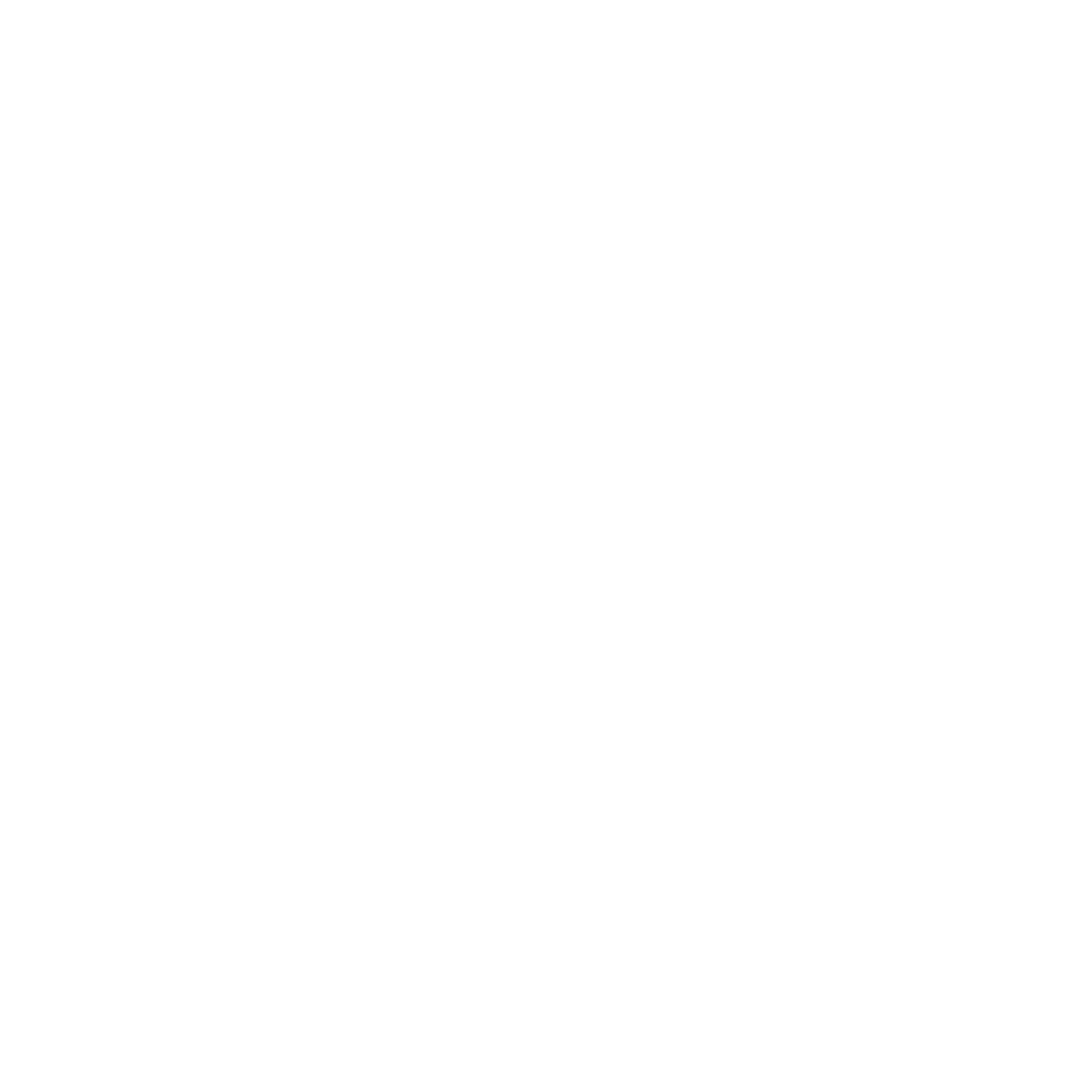 Search Overseer logo